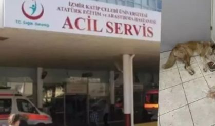 Burası Atatürk Eğitim ve Araştırma Hastanesi