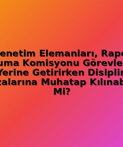 Denetim Görevlileri Rapor Onayında Disiplin Cezası Alabilir mi? Kamu Denetçiliği Kararı