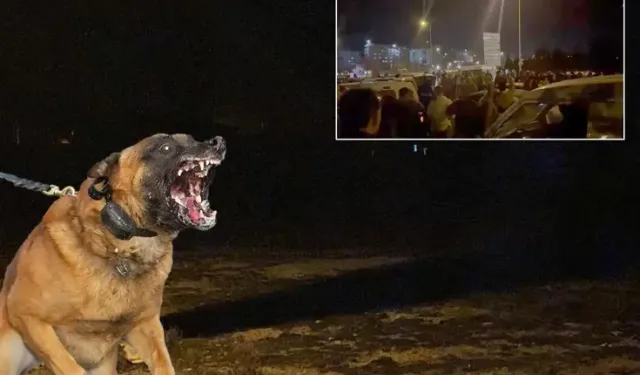 Başıboş köpekler 2 yaşındaki çocuğu öldürdü, halk sokağa döküldü