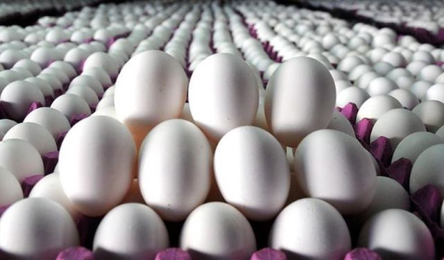 Yumurta fiyatları yüzde 50 düştü