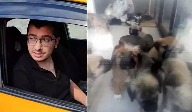 Doktorun telefonundaki görüntüler kan dondurdu: İstismar edip parçalamış