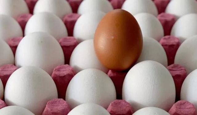 Yumurta fiyatları son 4 haftada yüzde 61 arttı