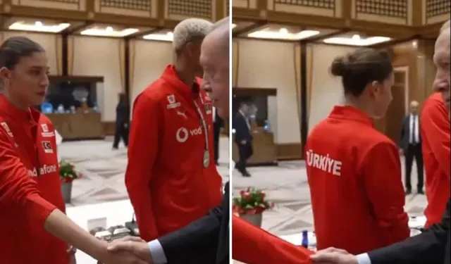 İlkin Aydın'ın Cumhurbaşkanı Erdoğan'ı ziyaretindeki tavırları izleyenleri ikiye böldü