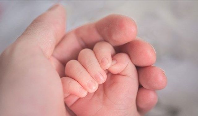 Yapay zekadan tüp bebekte devrim: 19 yıl sonra gelen mucize gebelik