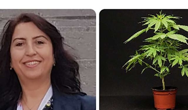 Kanser açıklaması büyük ilgi toplayan Prof. Dilek İnan profesör değil mi?