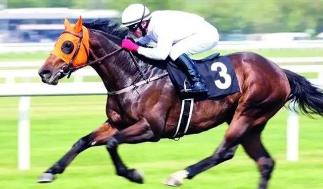 Şampiyon at nasıl kavurma oldu? İşte ihanet zinciri!