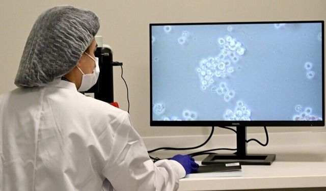 Türkiye'de Kan Kanseri Tedavisinde Çığır Açan Gelişme: Yerli CAR-T Hücre Tedavisi Uygulamaları Başladı