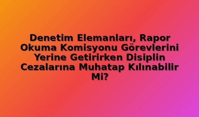 Denetim Görevlileri Rapor Onayında Disiplin Cezası Alabilir mi? Kamu Denetçiliği Kararı