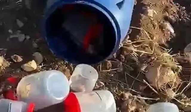 Mezarlıkta şoke eden olay: Varil içinde 21 cenin bulundu