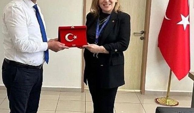 Başhekim Yardımcısı, Kamu Hastaneleri Başkan Yardımcılığı görevine getirildi