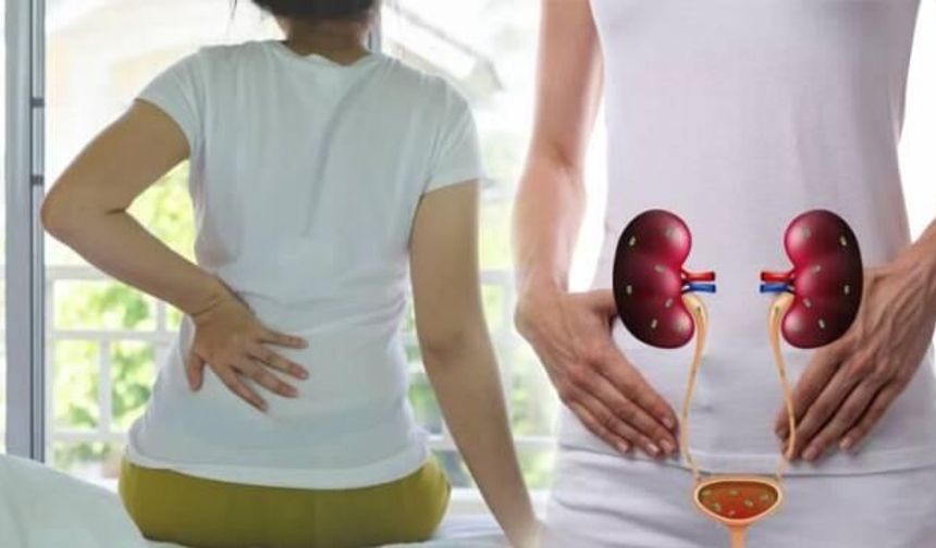 Böbrek Taşına Neden Olan Besinler Neler?