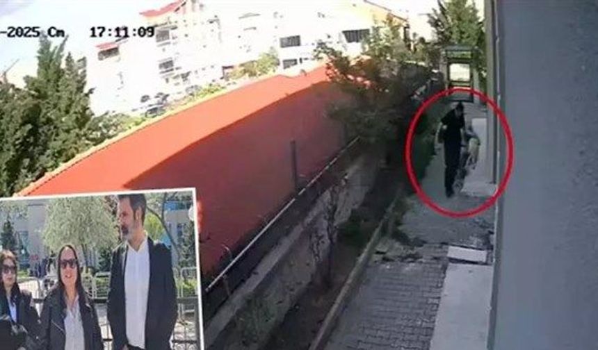Sahiplendiği köpekleri evde parçalayıp öldüren doktor tutuklandı