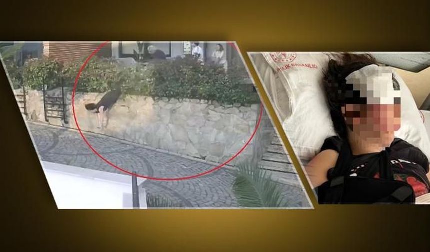 Komşu Kavgası: Doktor, kadını 1,5 metre yükseklikten aşağı itti!
