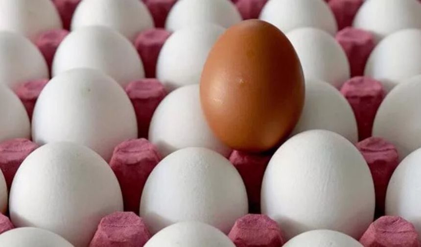 Yumurta fiyatları son 4 haftada yüzde 61 arttı