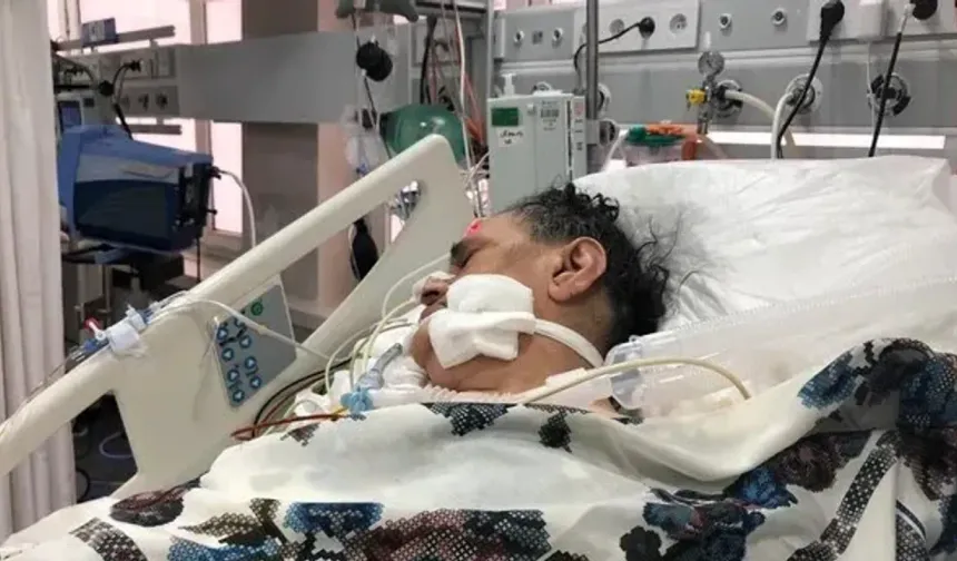 Ankara ve Bolu’da da görüldü: Tedavisi yok