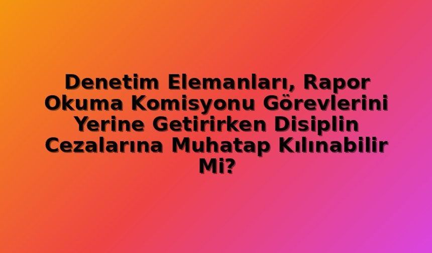 Denetim Görevlileri Rapor Onayında Disiplin Cezası Alabilir mi? Kamu Denetçiliği Kararı